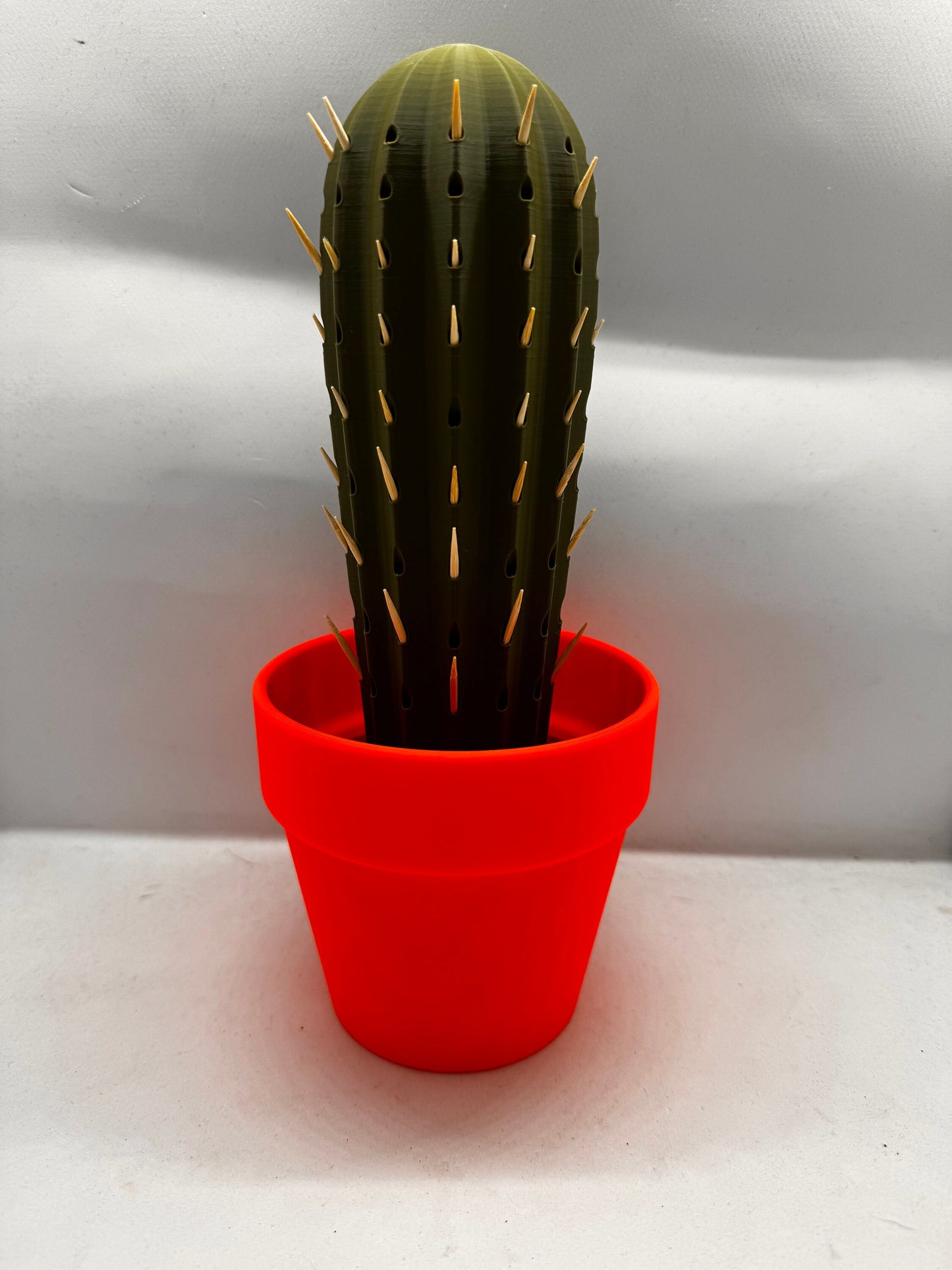 Cactus Toothpick holder