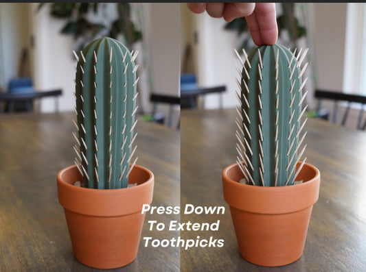 Cactus Toothpick holder