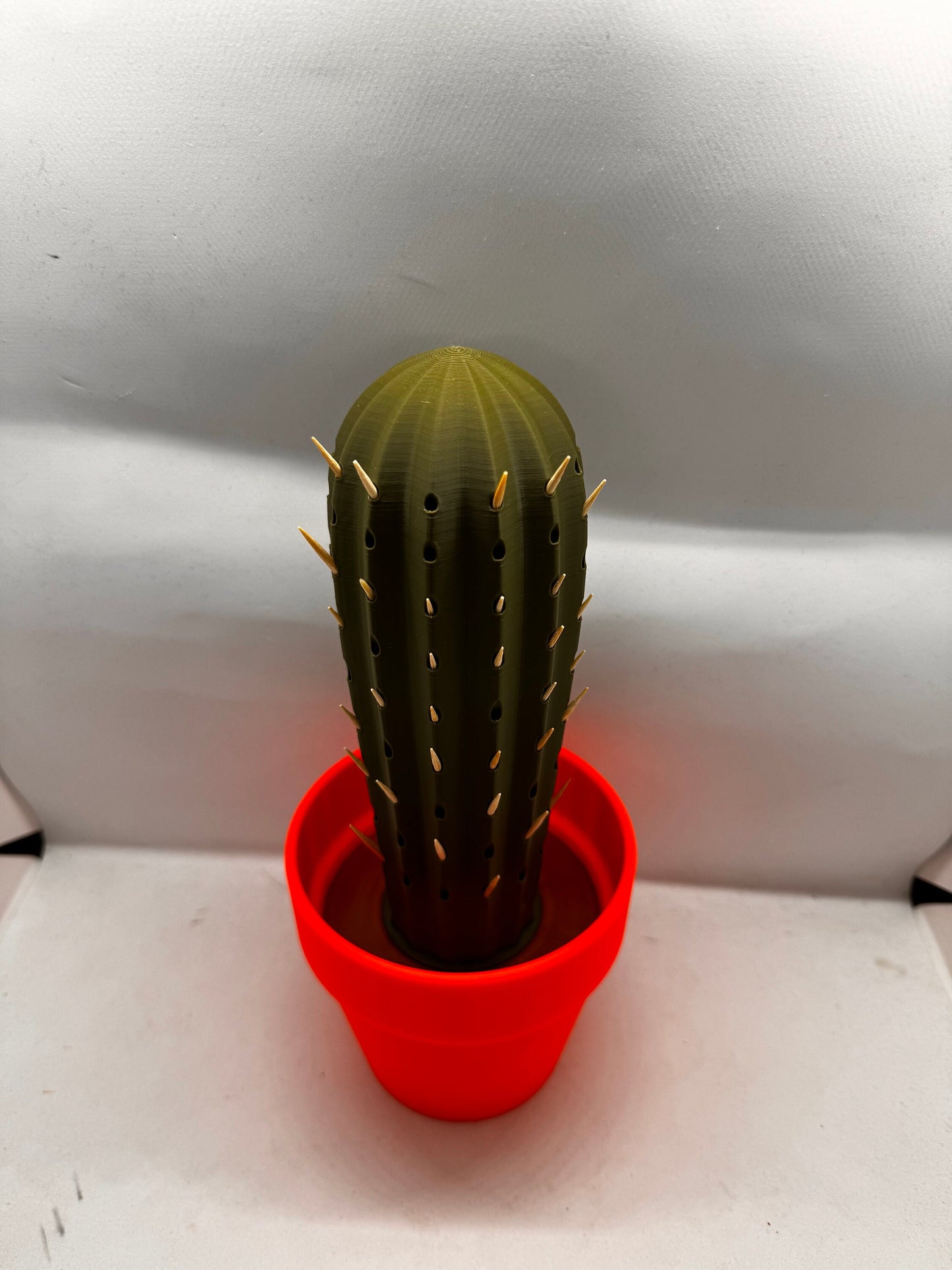 Cactus Toothpick holder