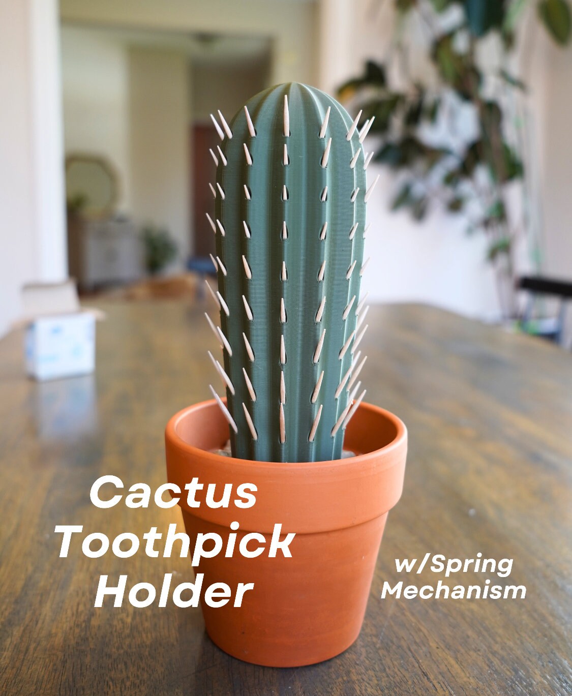 Cactus Toothpick holder